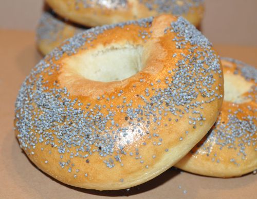 bagel