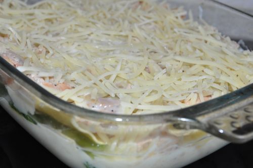 lasagne de saumon frais
